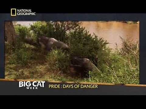 NAT GEO- Nat Geo Mega Doc Of The Month