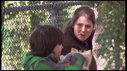 Relax Daily_Kid Steals Blind Man's Dog