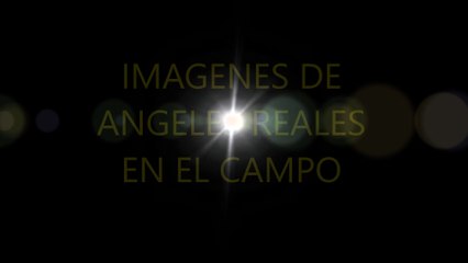 IMAGENES DE ANGELES REALES EN EL CAMPO 2016