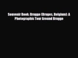 Download Souvenir Book: Brugge (Bruges Belgium): A Photographic Tour Around Brugge Free Books