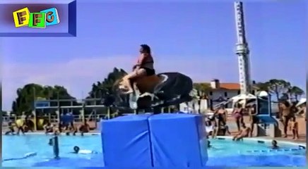 Funny Video Clips Fail Compilation 2014 Best Of Top Funny Home Videos Compilation (News World)