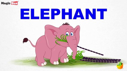 Animal Alphabet - Pre School - Learn English Words (Spelling) Video For Kids and Toddlers