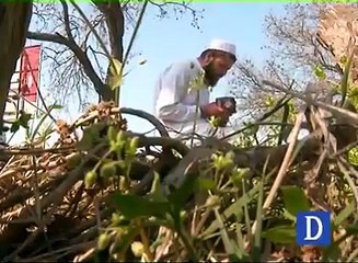 ALLAH KI shaan dekh Abaid Gujjar