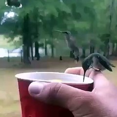 VID-20160302-WA0032.mp4