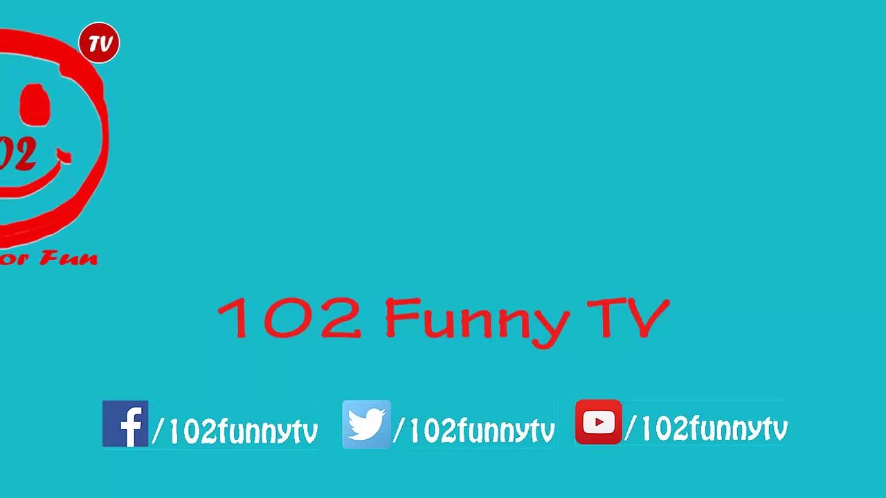 Funny Cat And Dog - Cats Slapping And Punching Dogs While Dog Sleep