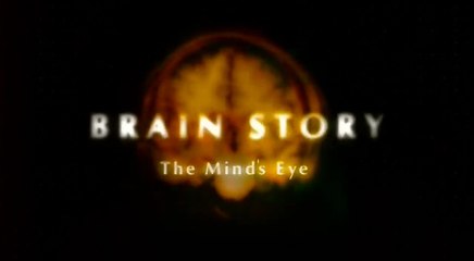 BBC: Тайны Мозга 3. Мысленный взгляд