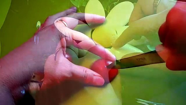 Украшения из яйца и помидор! Decoration of eggs and tomato!