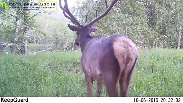 Тигирекский заповедник