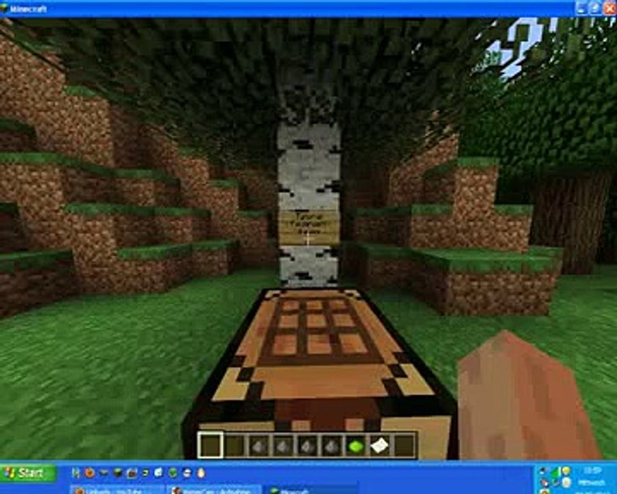 minecrafting