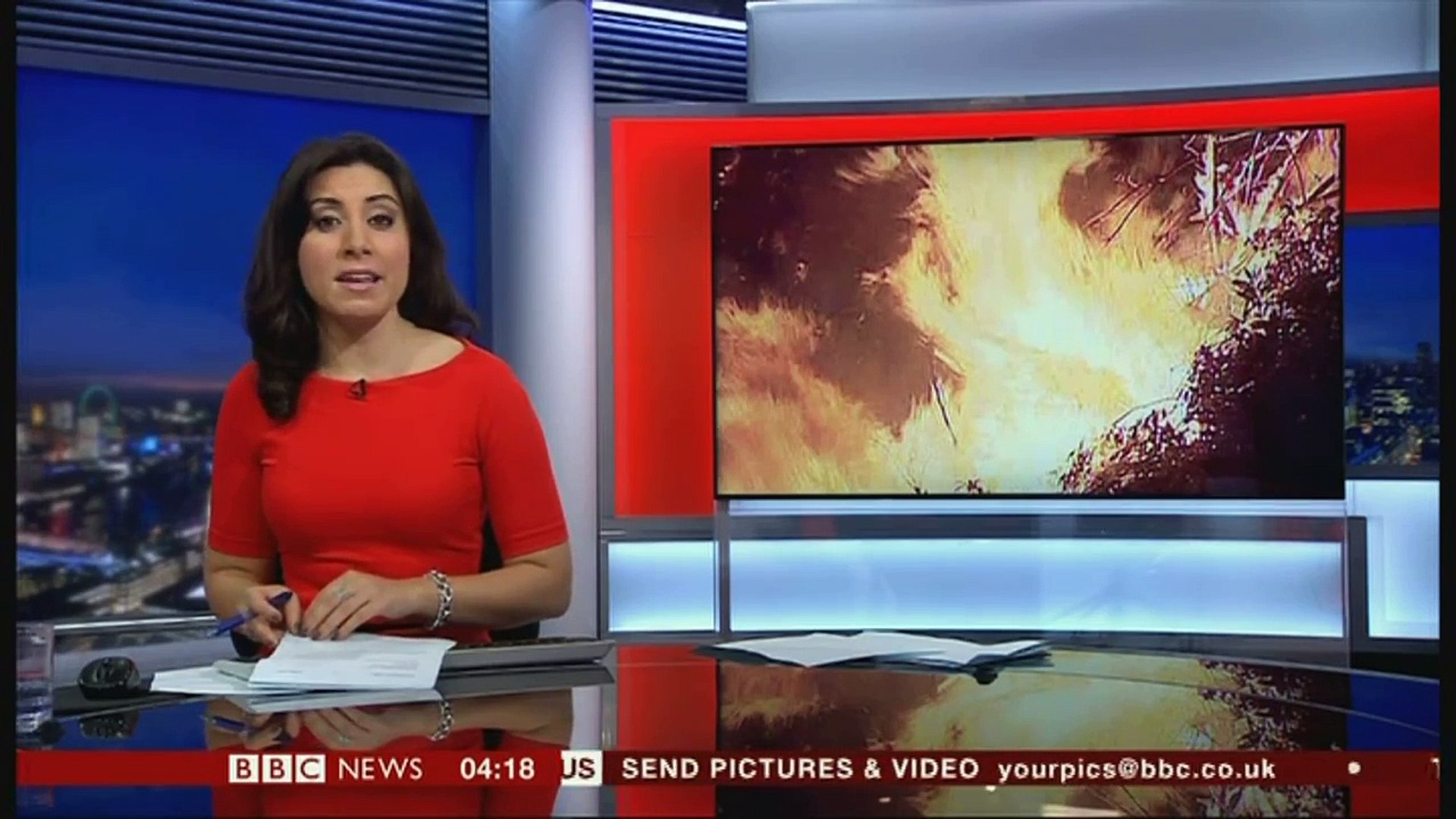 DANIELA RITORTO: : BBC News 18 Aug 2013