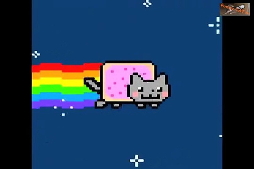 Super Nyan Cat Funny Hamster Voice 2015 na na n...