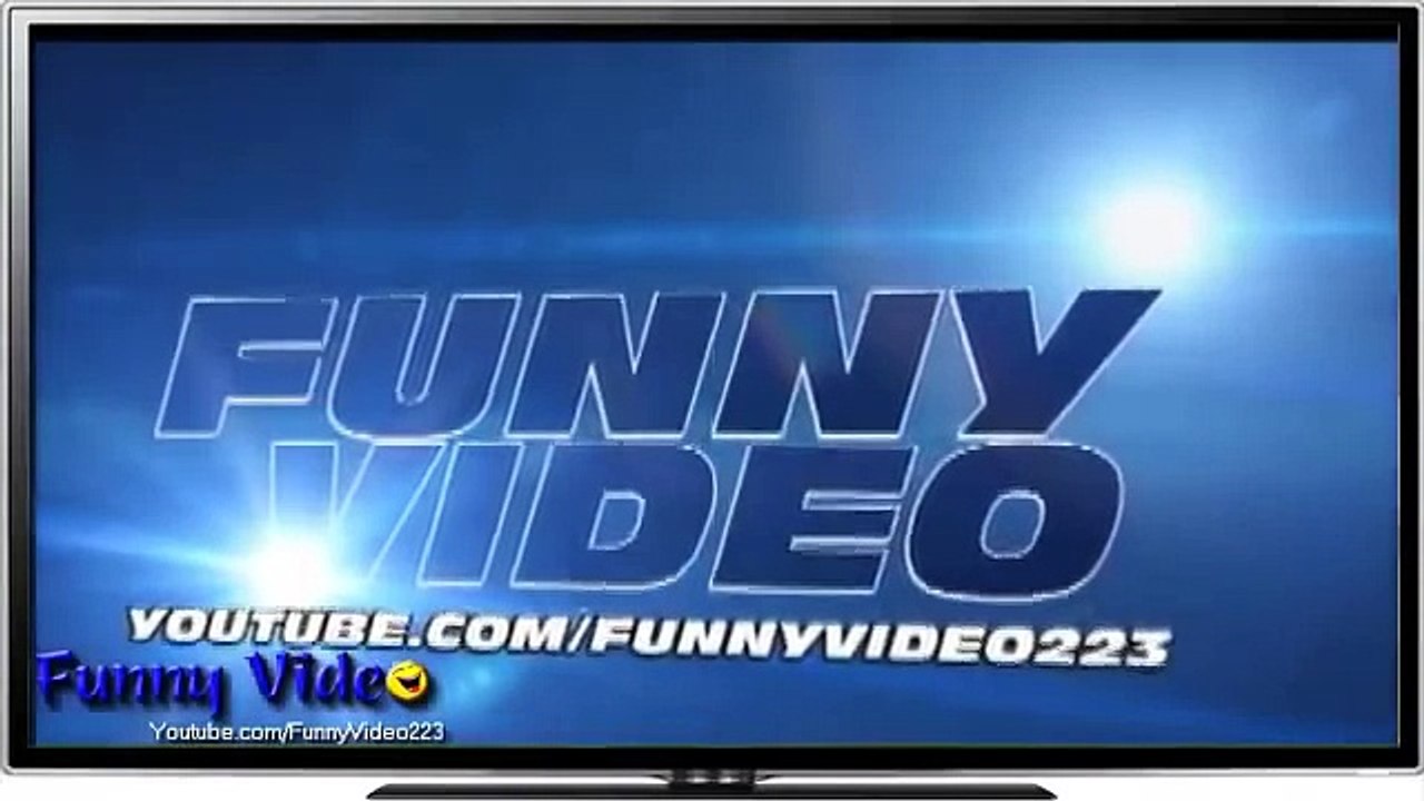 Funny Animals Videos- Funny Cats Funny Animals...