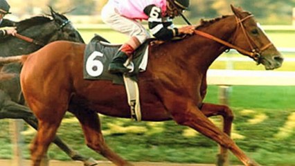 10 greatest race horses
