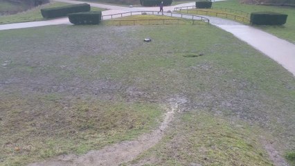 Impro bashing M-L-D & Led Zeppelin