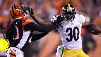 Steelers Assistant Pulls Reggie Nelsons Hair