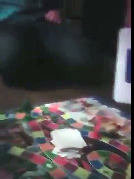 CANDY LAND RACE very interesting (Funny Videos 720p)