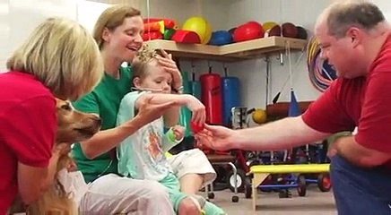 Câinele care a salvat un copil! Cum este posibil așa ceva_! Este un adevărat erou!