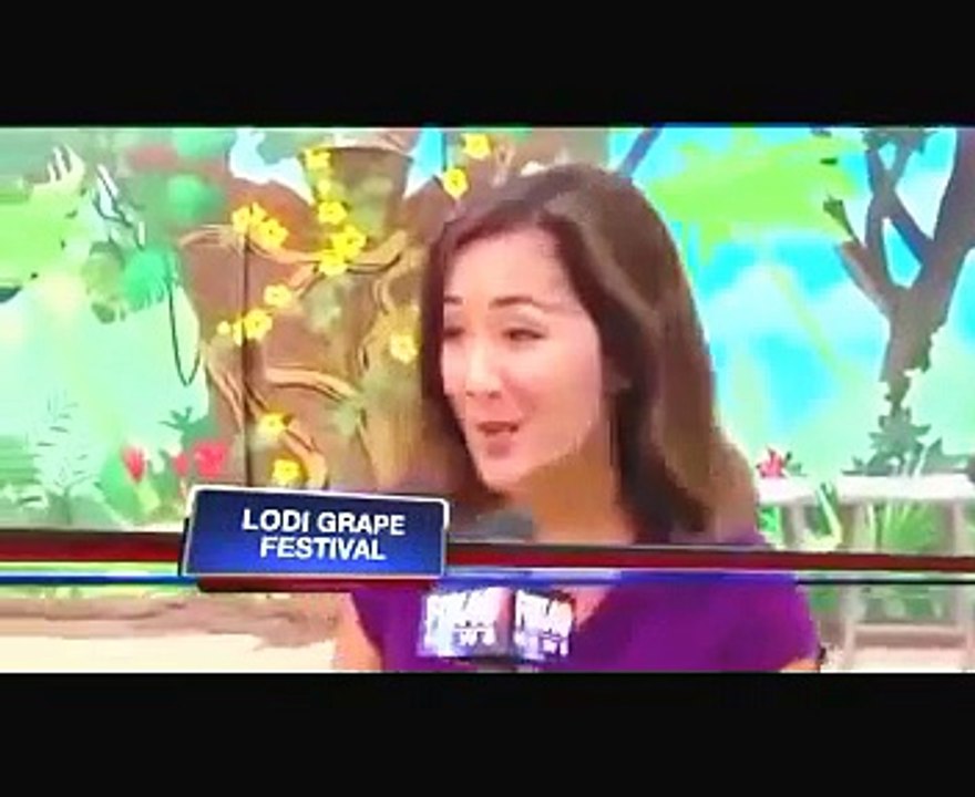 Video Hewan Lucu - M