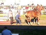 Horse pulling competition Pontiac Illinois 2007