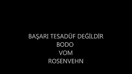 BODO VOM ROSENVEHN drahthaar av kopeği hunting dog pointing turgayttt