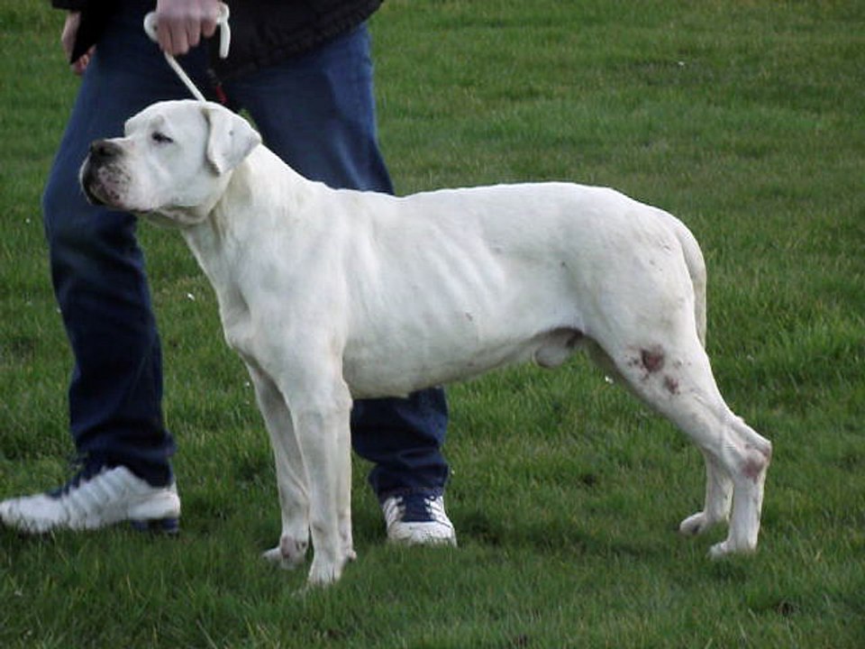 FARC CERRO DE LOS CONDORES