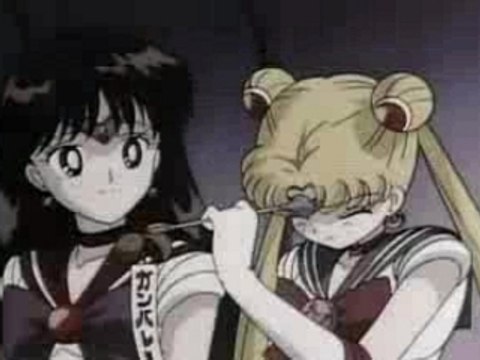 AMV - Sailor Moon - Sting - Desert Rose