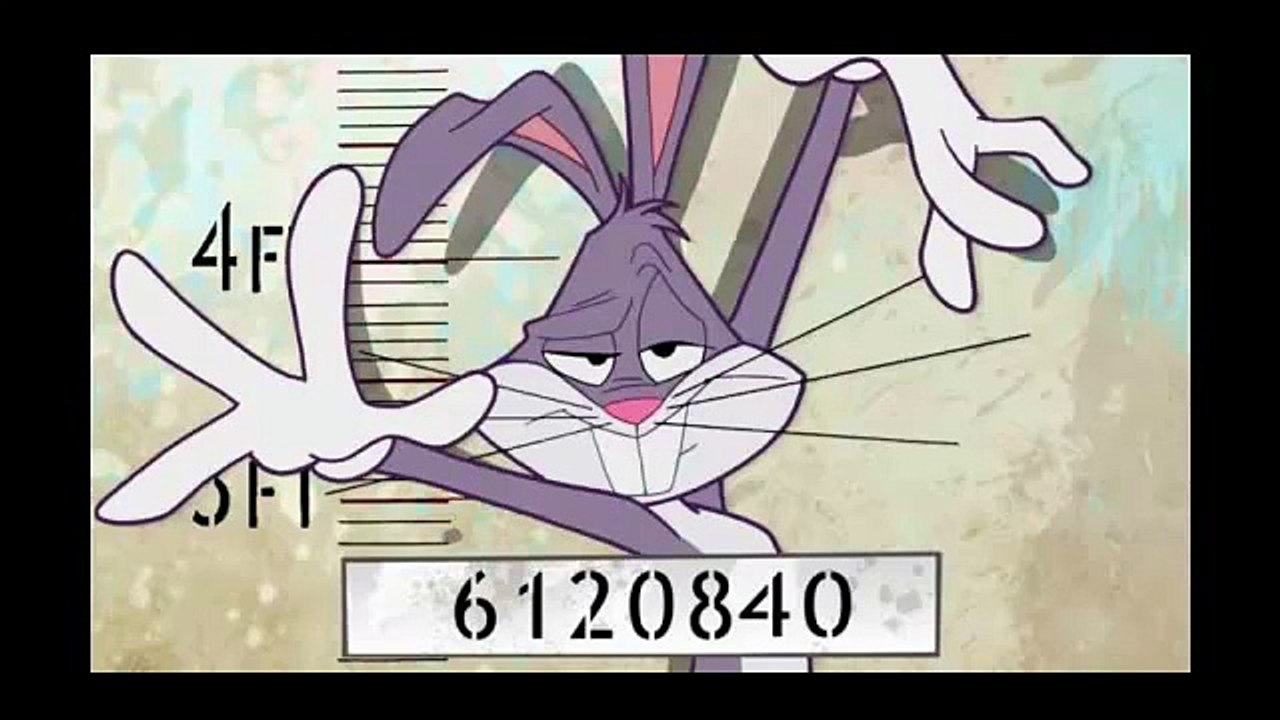 My Review Of Jailbird And Jailbunny