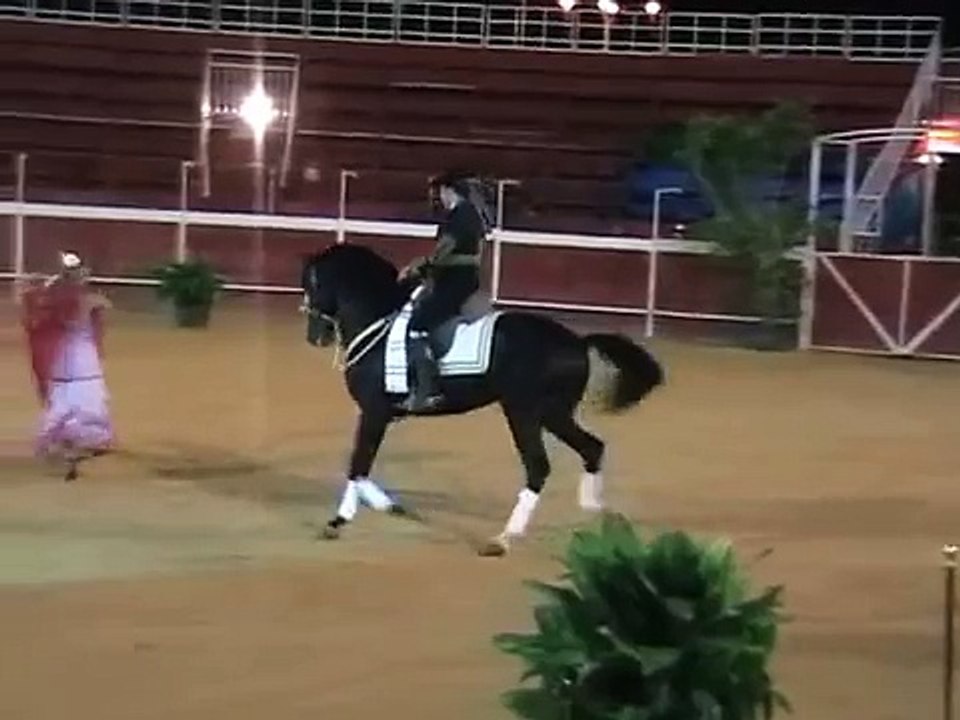 MONTELIRIO CARMELO CUEVAS CABALLOS