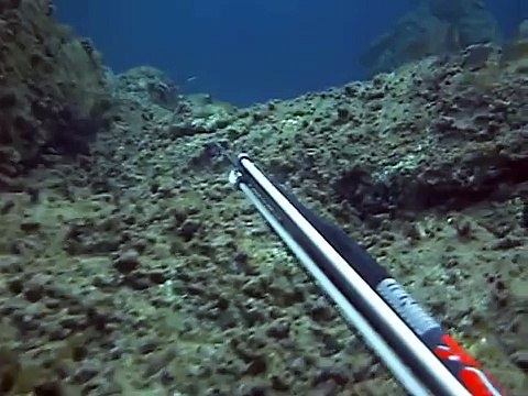 pesca sub basso fondo orata..la fretta non paga!