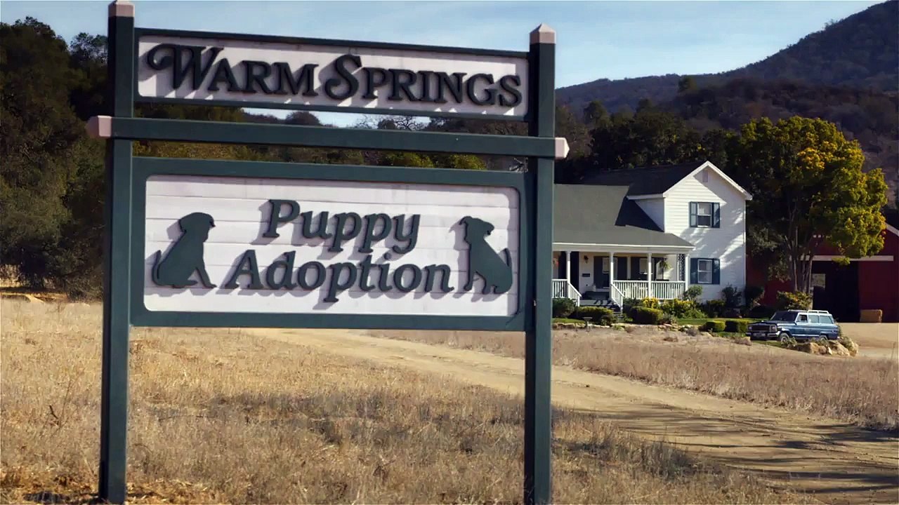 Super Bowl Commercial 2014 – Budweiser “Puppy Love”