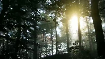 ABC2  25 Second Ident