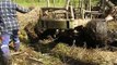 Belarus Mtz 82 stuck in deep mud, saving with Mtz 1025