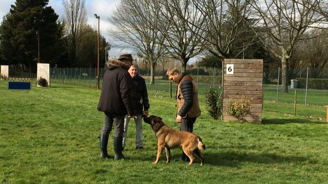 Concours national de ring à Fontenay-le-Comte