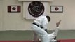 Mushin-Kai International - Pinan Godan Kata (Shito-ryu Karate)
