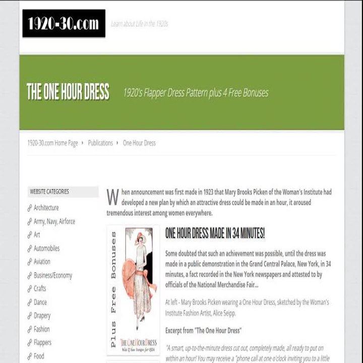 Buy How To Make 1920s Flapper One Hour Dress Costume