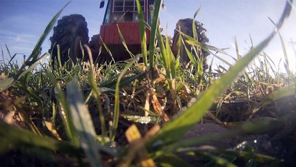 Traitement d'azote 2016 - Massey Ferguson & Berthoud V.1 - LukaCDDOG HD Agri Pix - Reuplod