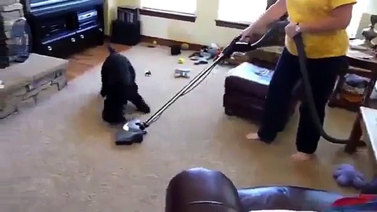 Как  быстро приручить пылесос