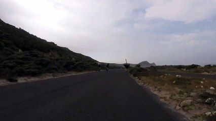Cyclistes vs Autruche