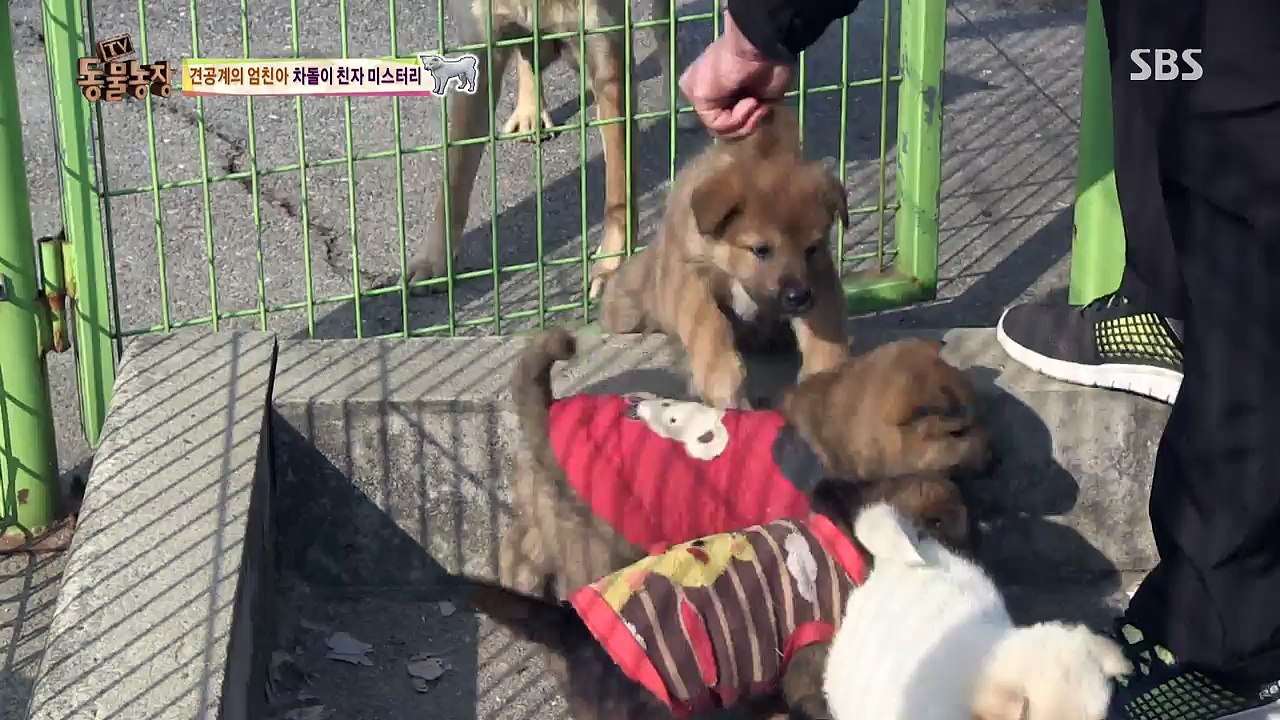 목동출장안마 ◤O1O↔29O8↔6555◢  염창동출장안마 양평동출장안마 신정동출장안마 휴학생대기中