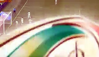 Alfred Duncan with this amaizing goal Sassuolo 1-0 Milan