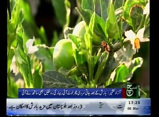 Regionel News Bulliten 05pm March 06, 2016  - Such TV