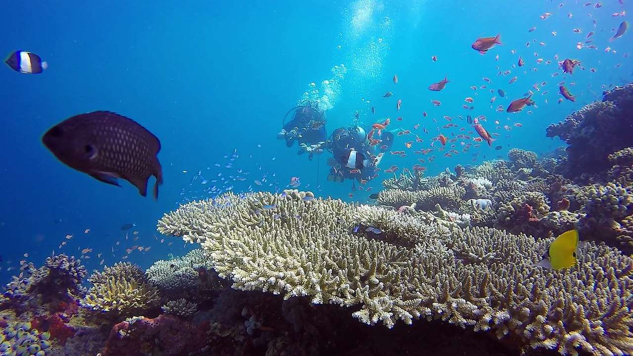 W Retreat & Spa Maldives - Down Under & Wave Activities 2016