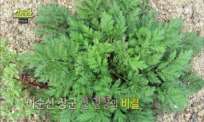 알토란.E70.160306 1