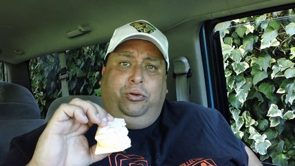 Strawberry Pop-Tart Ice Cream Sandwich REVIEW!!