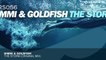 DIMMI & Goldfish - The Storm (Original Mix)