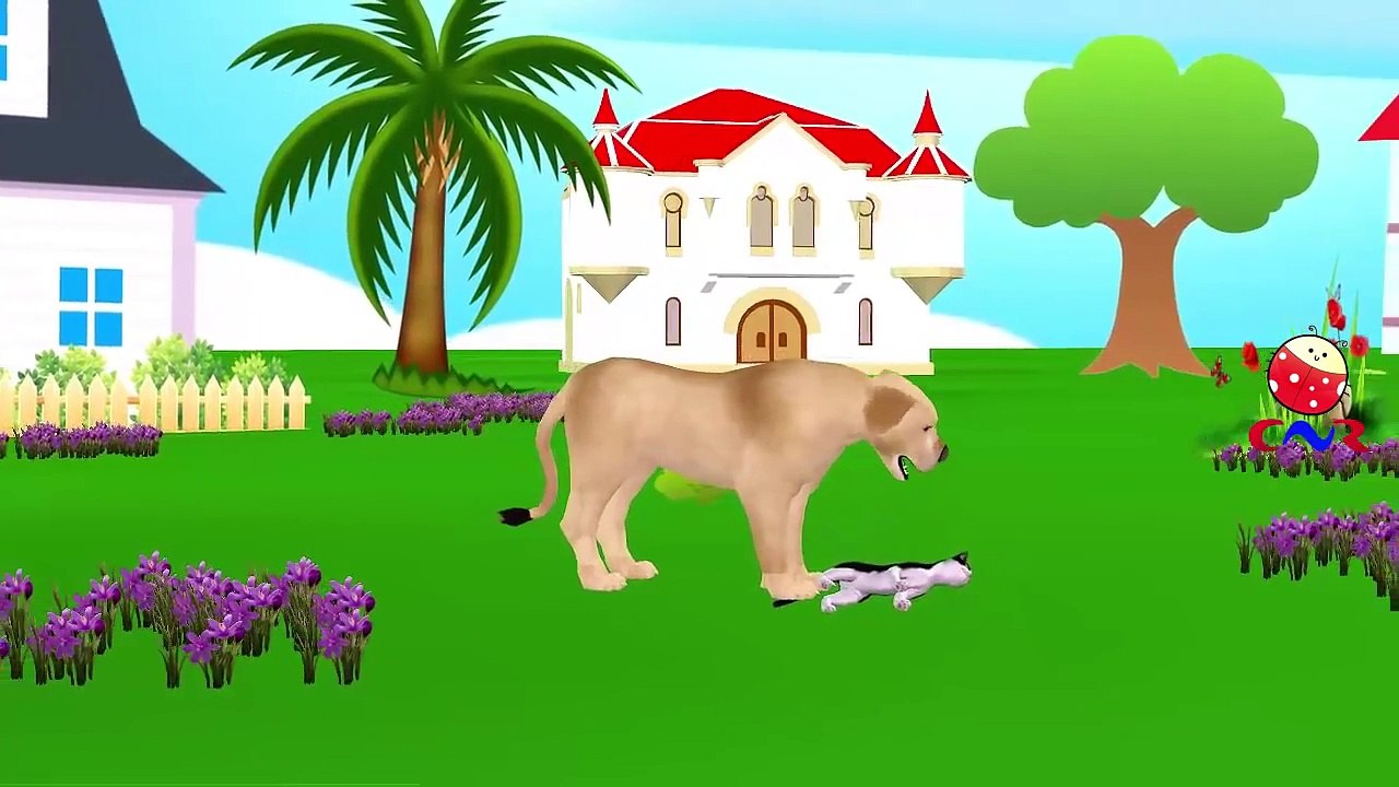 Finger Family Children Nursery Rhymes Cats Cartoons for Children | Dogs Finger Family Nurs