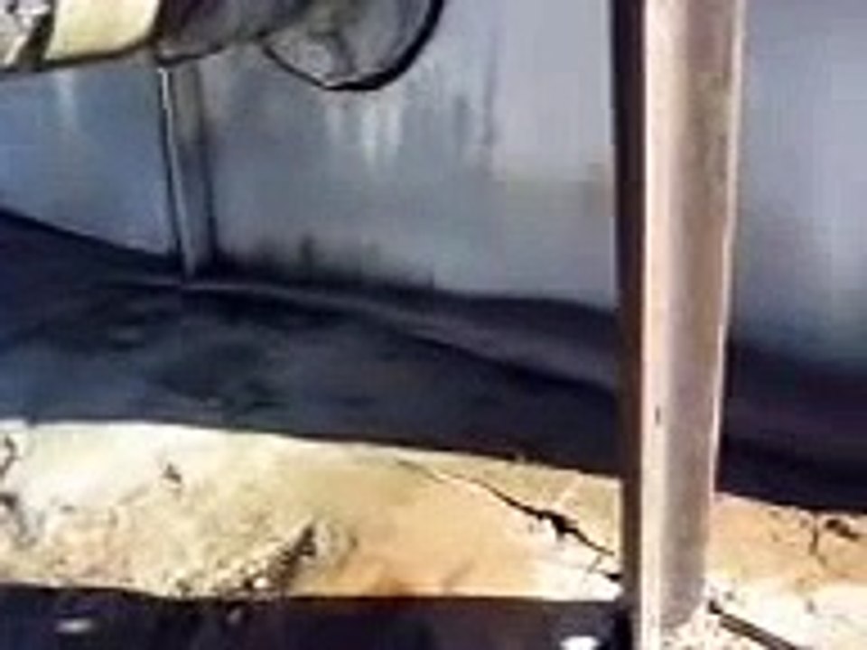 Big Python Attack's