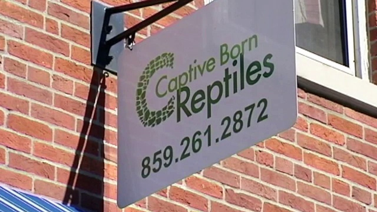 20-foot python attacks reptile shop owner