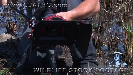 Python Attacks 03   Aggressive Rock Python   Music