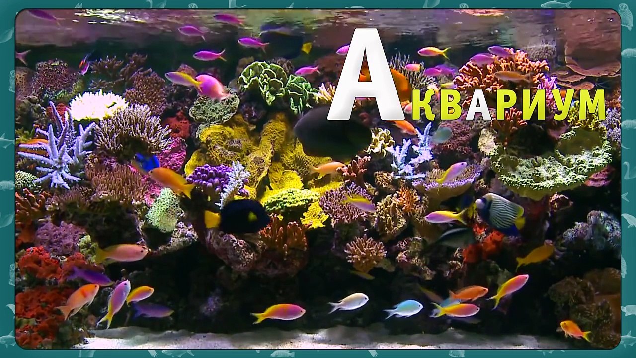 Развивающий алфавит для детей. Животные на букву А Мультипедия животных